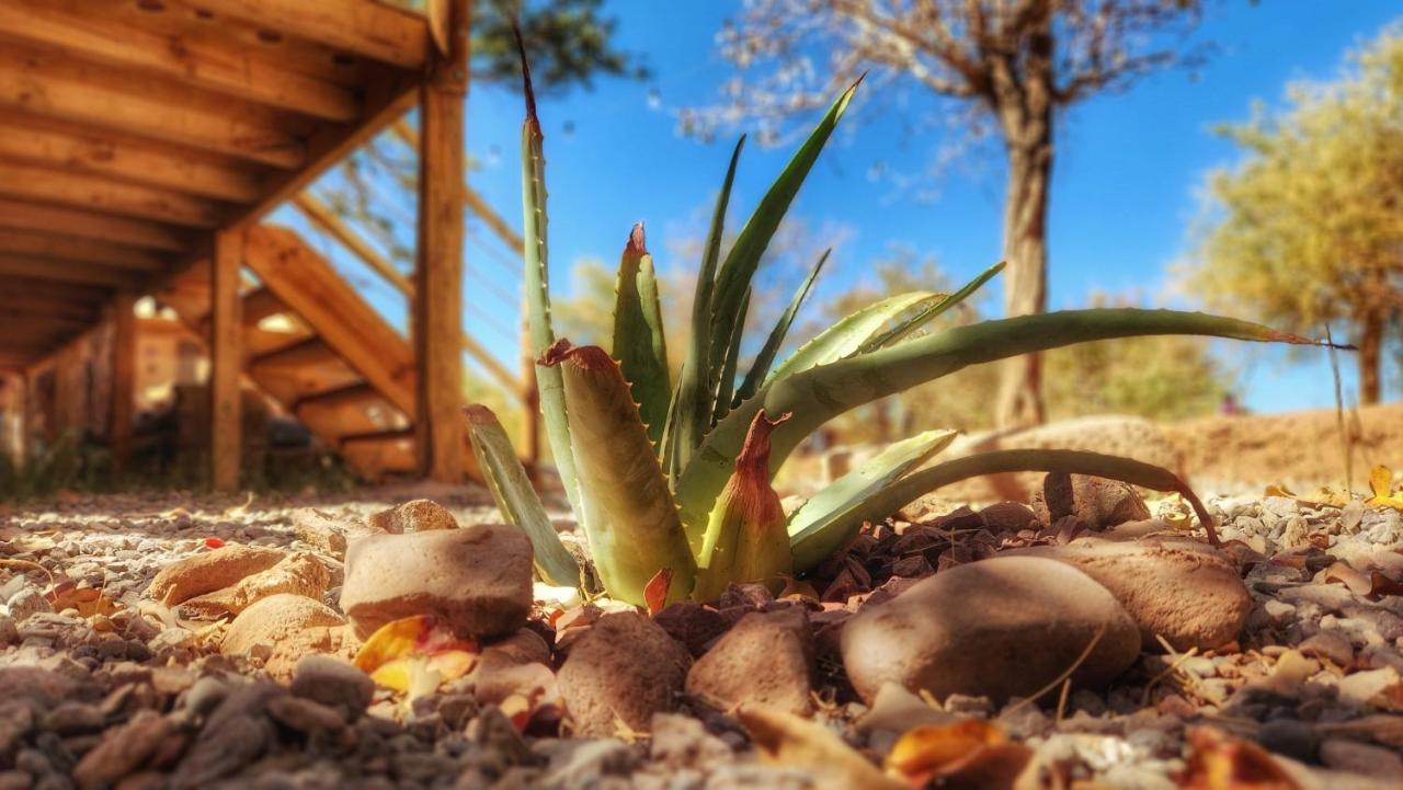 Glamping Dunas Del Sol San Pedro de Atacama Exterior foto